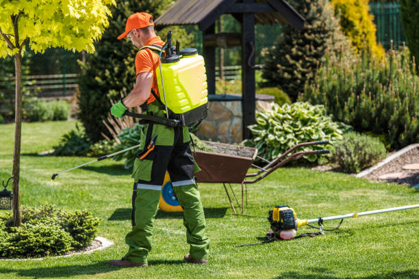 Best Lawn Pest Control  in Franklinville, NJ